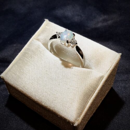 【ジュエリーお手入れ会ご案内】